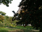 Paris Le Jour